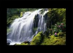 技术员联盟XP系统显示器四周有黑边的解决方法