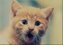 32位Win7系统笔记本具备4G内存有无必要升级为64位系统？