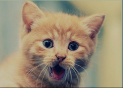 电脑公司Win7系统被病毒入侵后的补救高招