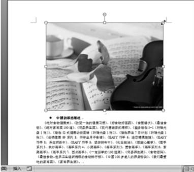 Word2007如何调整图片大小