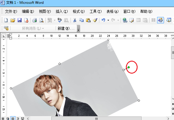 Word2003图片旋转如何设置(10)