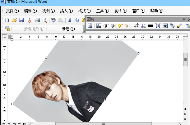 Word2003图片旋转如何设置(5)