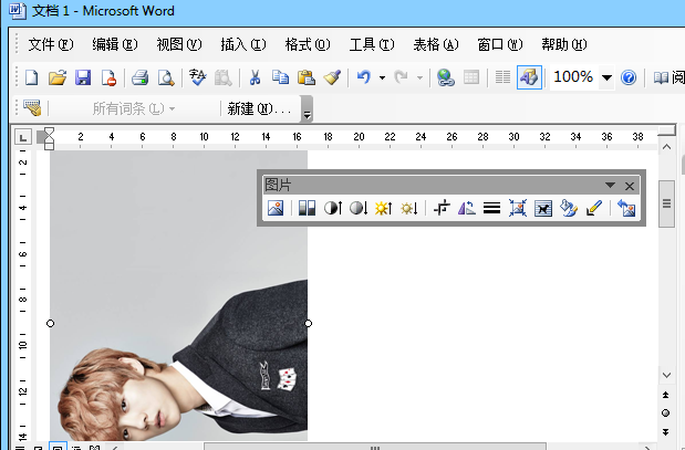 Word2003图片旋转如何设置(2)