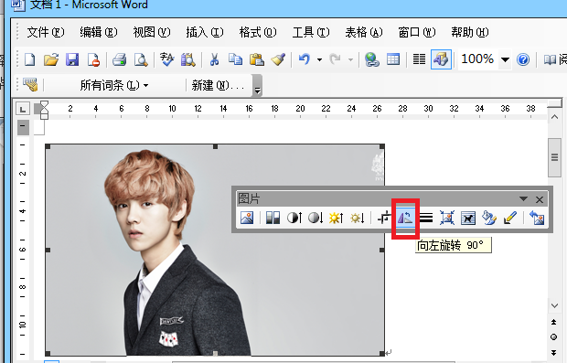 Word2003图片旋转如何设置(1)