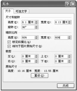 Word2007如何调整图片大小(2)
