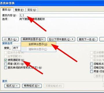 word2007中查找替换标点符号的方法(1)
