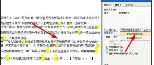 word2007中查找替换标点符号的方法(2)