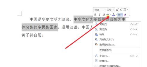 word2007给文字加底色的方法(2)