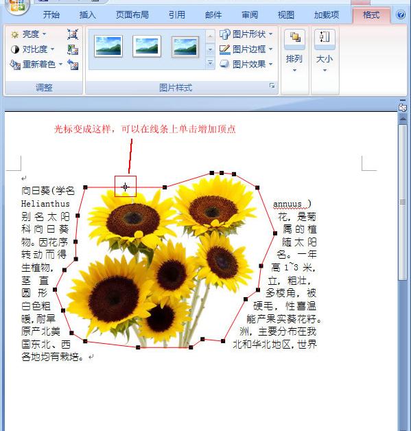 word2007如何让文字紧靠图片_Word2007教程(5)