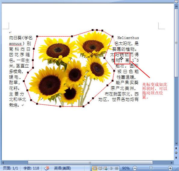word2007如何让文字紧靠图片_Word2007教程(4)