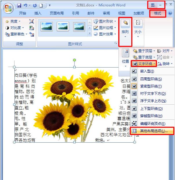 word2007如何让文字紧靠图片_Word2007教程(7)