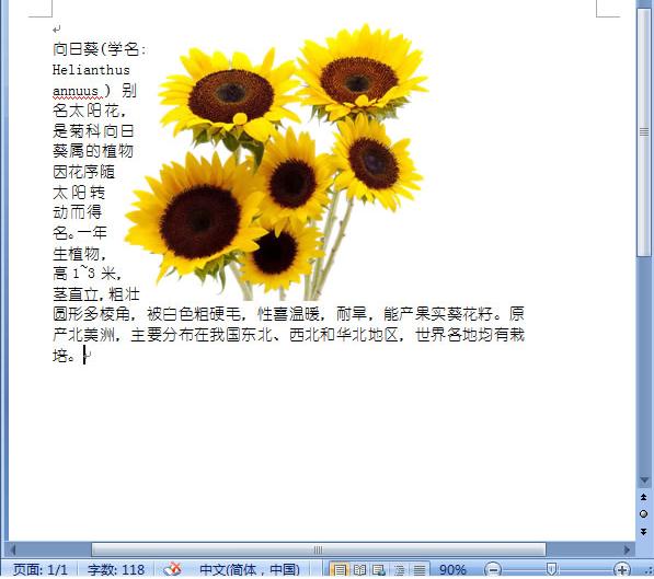 word2007如何让文字紧靠图片_Word2007教程(9)