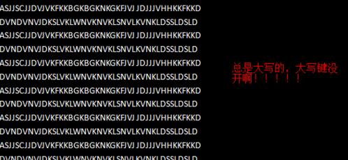 word2007只能输入大写字母怎么办_Word2007教程(2)
