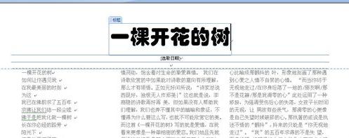 word2007如何排版(8)