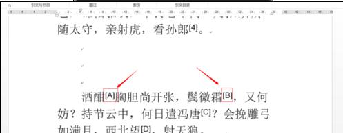 word如何修改尾注数字编号格式(5)