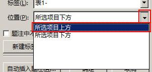 Word表格如何添加题注 Word表格添加题注的步骤(3)