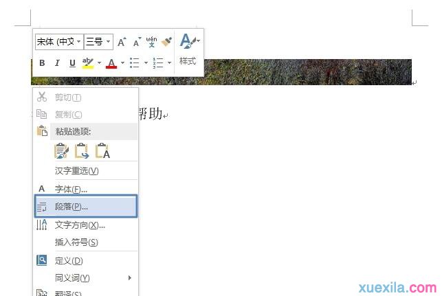 Word2013插入图片显示不全如何解决_Word2013教程(2)