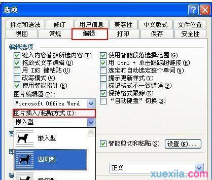 Word2013如何设置图片环绕(5)