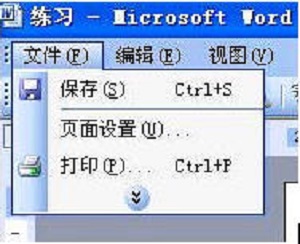 word文档如何打印_Word常见问题(1)