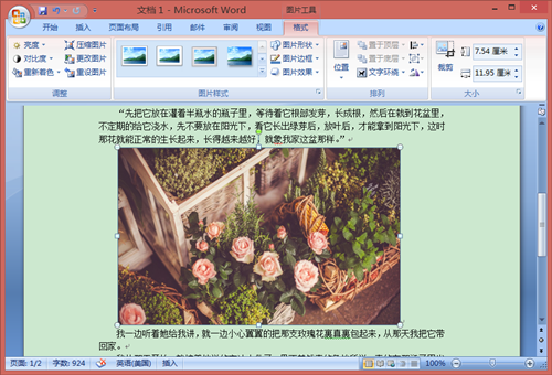 用word怎么排版图片(1)