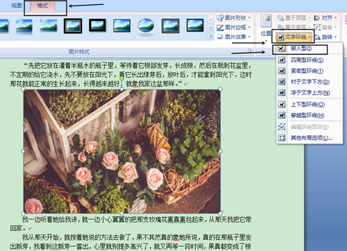 用word怎么排版图片(2)