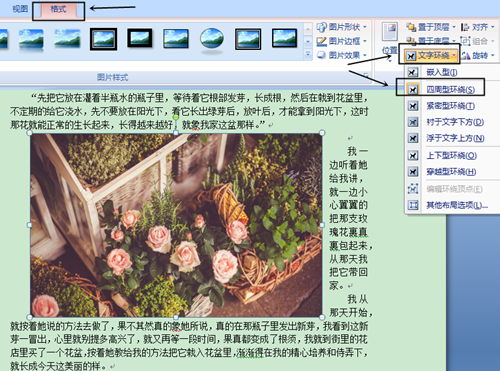 用word怎么排版图片(3)
