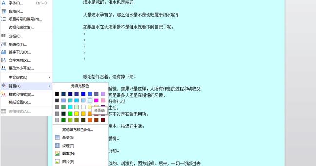 如何设置word背景颜色(2)