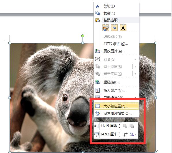 如何在word中裁剪图片