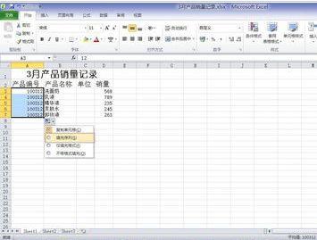 Excel输入部分相同的数据的详细教程(5)