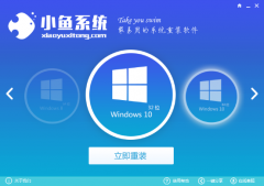 小鱼一键重装大师一键安装win10系统的快捷方法