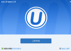 U盘启动盘的详细制作教程