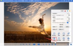 2345看图王给图片添加马赛克教程