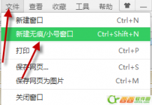 360浏览器怎么开启无痕模式