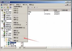 系统之家XP系统IIS默认网站无法启动怎么解决？