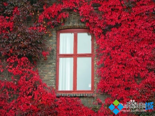 win8如何快速调整图片大小|win8使用画图修改图片大小的方法
