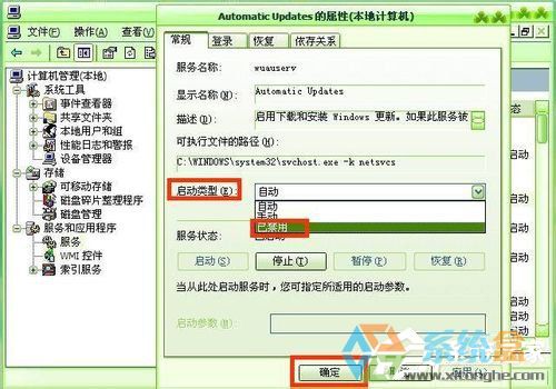 XP系统自动更新(11)