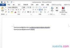 word2013无法输入中文的解决技巧