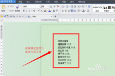 怎么用WPS文字制作菜单？