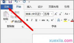 word2013显示开发工具的方法