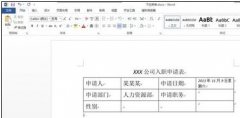 word2013选项按钮怎样设置