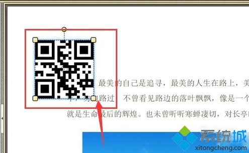 windowsxp系统下怎样在PDF文件中添加条码(6)