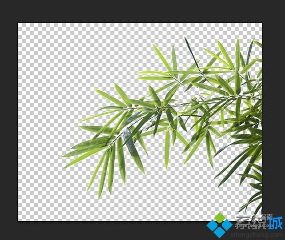 去除图片白色背景的方法(12)