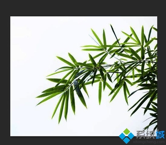 去除图片白色背景的方法(4)