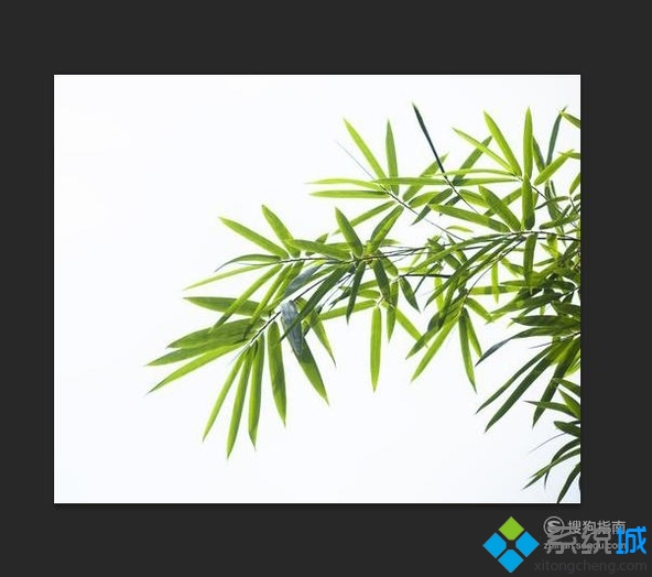 去除图片白色背景的方法(1)