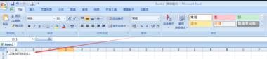 xp系统下Excel输入长数字变成了乱码的解决方法(4)