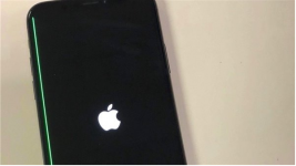 苹果iPhoneX屏幕现绿线：疑似三星OLED屏导致