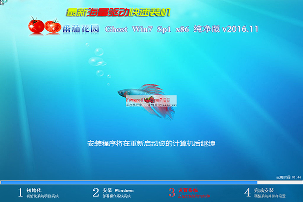 番茄花园win7 32位系统下载纯净版(4)