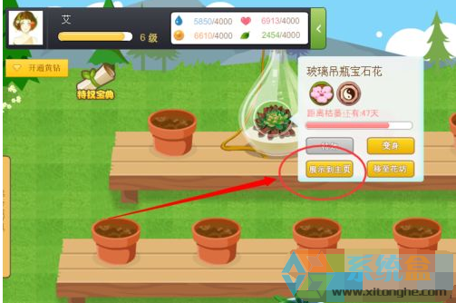 xp系统开启qq空间花藤显示的方法(4)