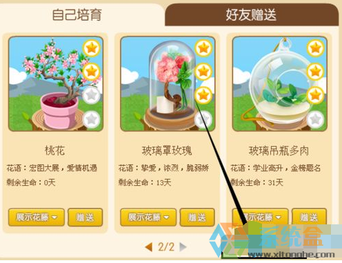 xp系统开启qq空间花藤显示的方法(6)