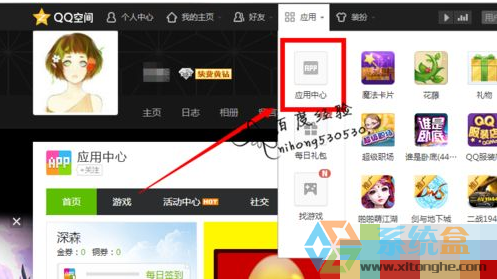 xp系统开启qq空间花藤显示的方法(7)